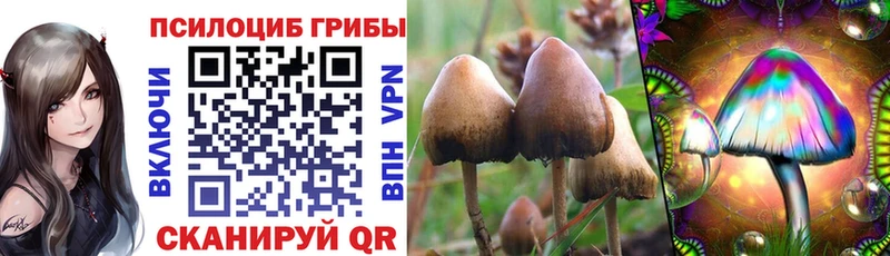 Псилоцибиновые грибы Psilocybe  Удомля 