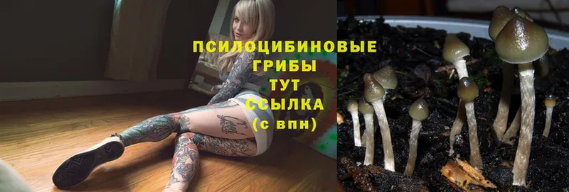 Галлюциногенные грибы MAGIC MUSHROOMS  Удомля 