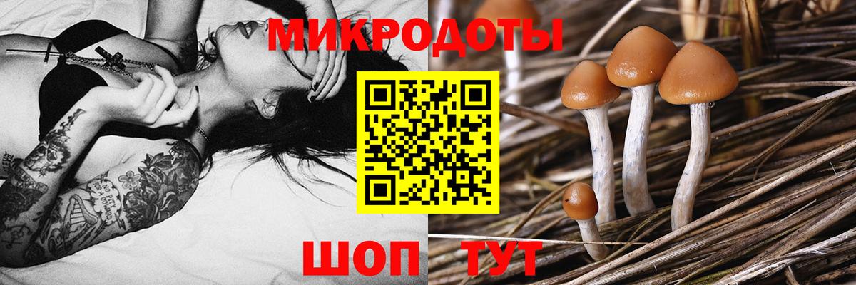 Галлюциногенные грибы GOLDEN TEACHER  купить  сайты  Вход с VPN  Удомля  Псилоцибиновые грибы Cubensis 
