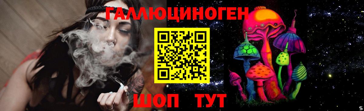 Галлюциногенные грибы Psilocybe  Псилоцибиновые грибы мухоморы  Удомля 